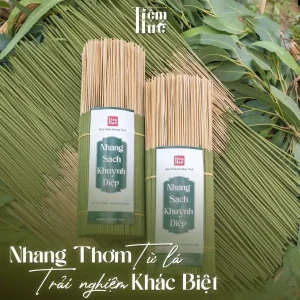 Nhang Khuynh Diệp Tiệm Huế – Bó 500 Que Nhang