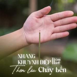 Alternative view of Nhang Khuynh Diệp Tiệm Huế – Bó 500 Que Nhang